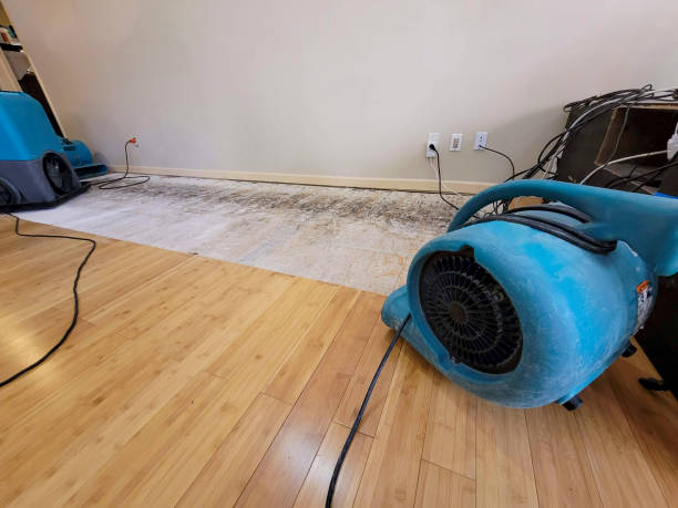 Reliable Basement Flood Cleanup contractor in Milton, NH by Hirex Water Damage
