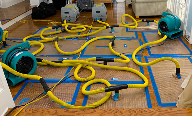 Professional Basement Flood Cleanup technician working in Milton, NH
