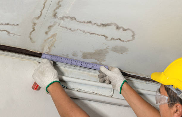 Affordable Basement Flood Cleanup solutions in Milton, NH